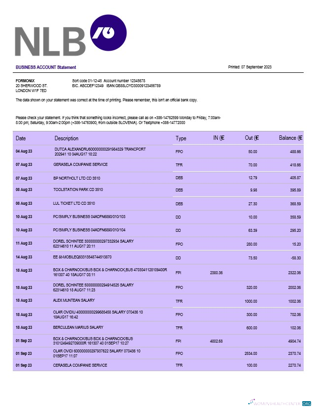 Download NLB Bank firm account statement Word and PDF template Photoshop template